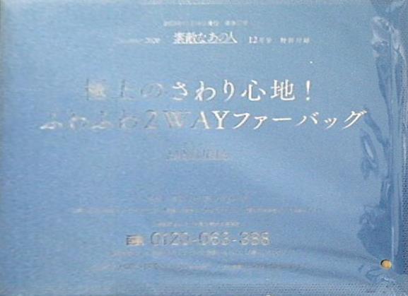 大型本 極上のさわり心地！ふわふわ2WAYファーバッグ MATURIA