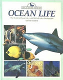 THE NATURE LIBRAY OCEAN LIFE
