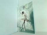 パンフレット AMERICAN BALLET THEATRE 2011年 日本公演
