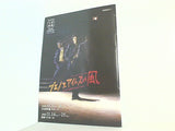 パンフレット ブエノスアイレスの風 宝塚歌劇 星組公演 2008.11.1-2008.11.25