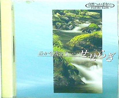 静かな渓谷で……せせらぎ