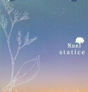 Noel statice