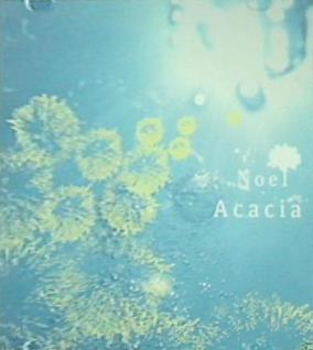 Noel Acacia