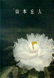 図録・カタログ 山本丘人 箱根・芦ノ湖 成川美術館