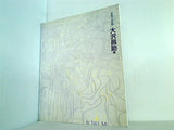 図録・カタログ 変身と変貌 大沢昌助展 練馬区立美術館 1991
