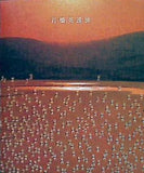 図録・カタログ 岩橋英遠展 1990年