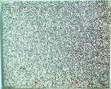 RADIO HEAVEN Trefort