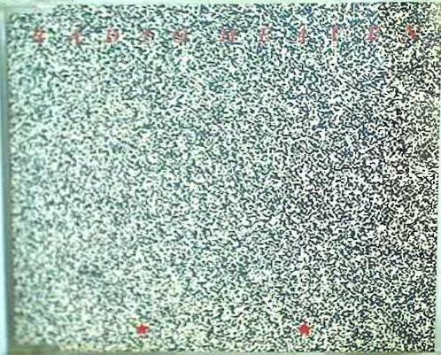 RADIO HEAVEN Trefort