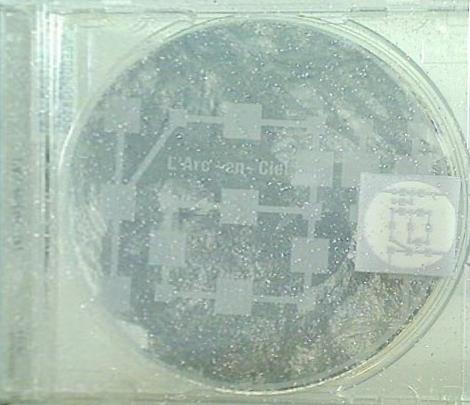 L'Arc-en-Ciel ray