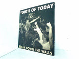 youth of today break down the walls