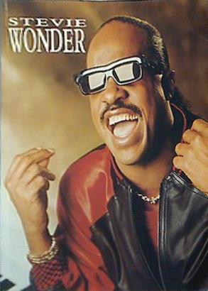 大型本 パンフレット STEVIE WONDER 1988 IN JAPAN – AOBADO