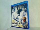 華麗なる賭け the THOMAS CROWN affair
