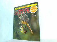ジョロウグモ (1977年) (たのしい理科教室―昆虫シリーズ) 大型本 たのしい理科教室 昆虫 7 ジョロウグモ – AOBADO