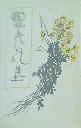 新選 名著復刻全集 近代文学館 野菊の丘 伊藤左千夫