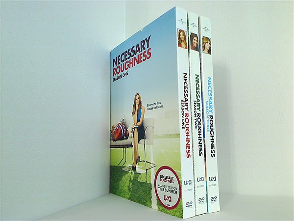 スーパー・タッチダウン Necessary Roughness