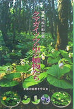 福島市松川町水原 クマガイソウの里の植物たち 水原の自然を守る会