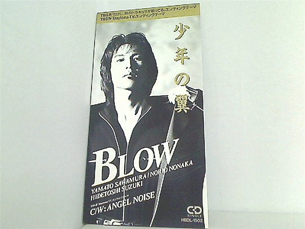 blow 少年の翼