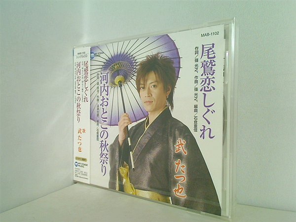 尾鷲恋しぐれ 武たつ也